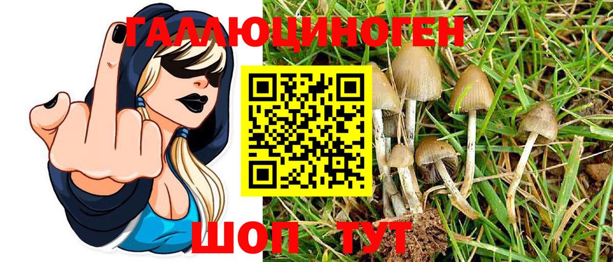 Псилоцибиновые грибы MAGIC MUSHROOMS  Вход с VPN  Галлюциногенные грибы Cubensis  Губаха 